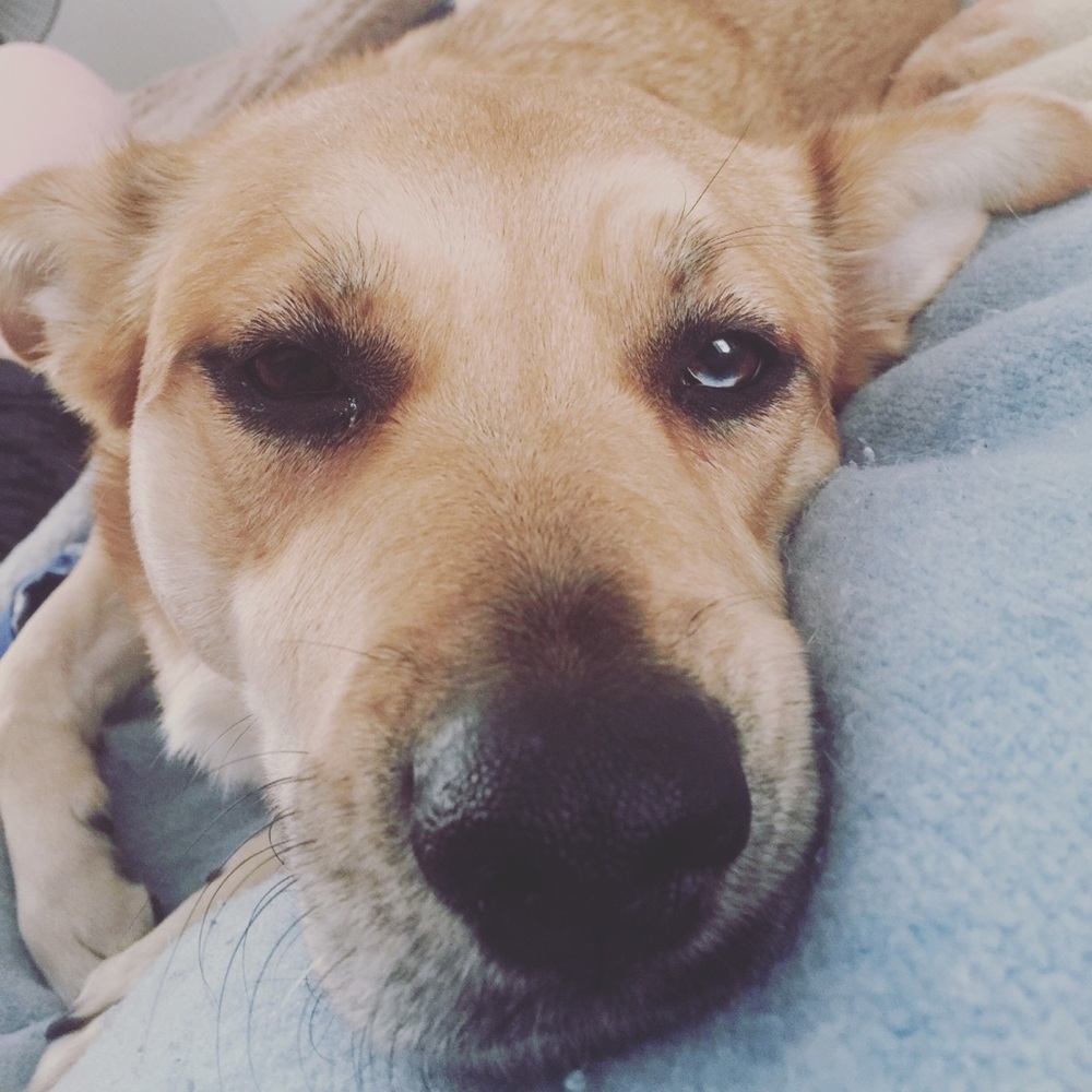 Hi, I am Amie! Come check out my closet 🙂